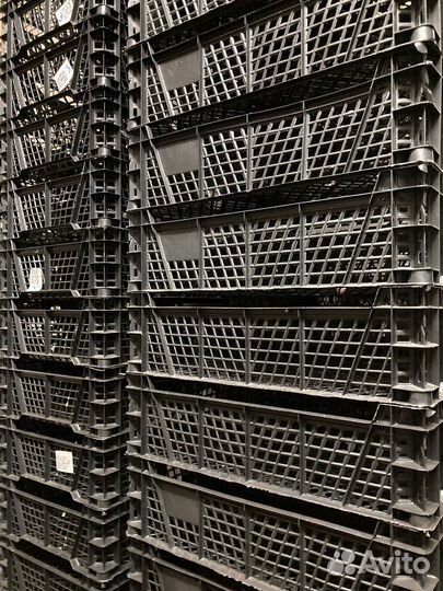 Ящик пластиковый