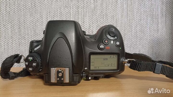 Nikon d800 body