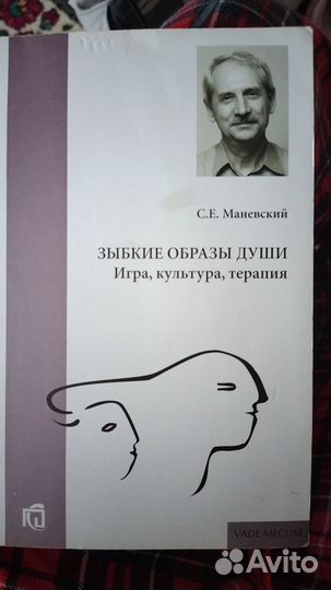 Маневский Сергей Евлампиевич Зыбкие образы души