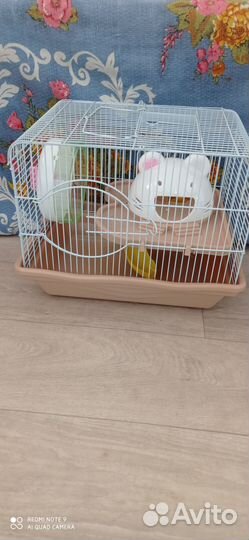 Клетка для грызунов