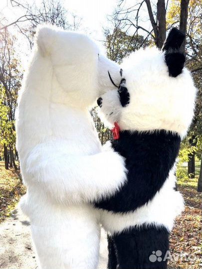 Белый Мишка Панда поздравления