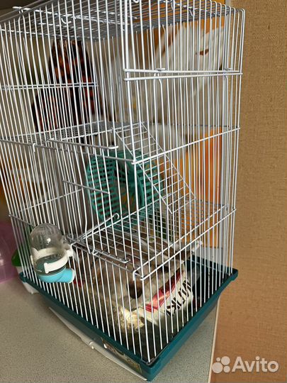 Клетка для хомяка бу