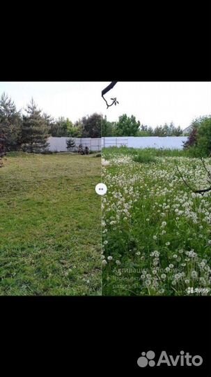 Покос травы