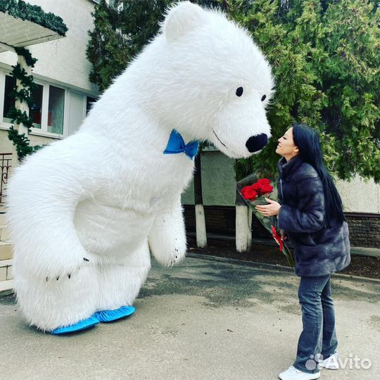 Белый Медведь, Аниматор Мишка, Панда