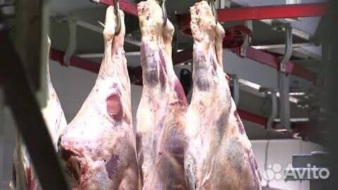 Мясо свинина говядина