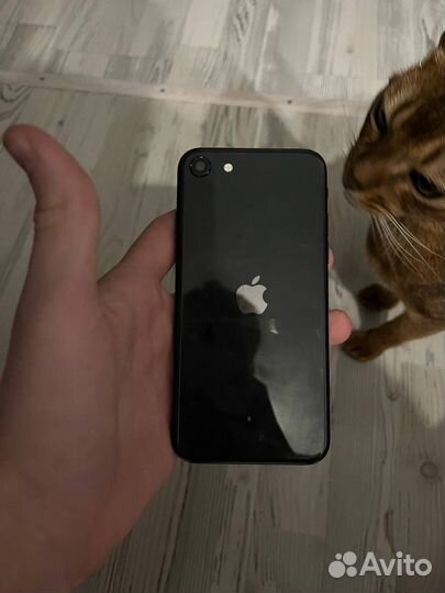 iPhone SE (2020), 64 ГБ