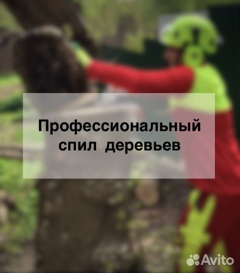 Спил, удаление деревьев