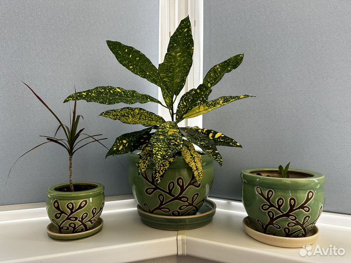 Набор горшков 3 шт