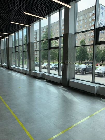 Торговая площадь, от 2000р