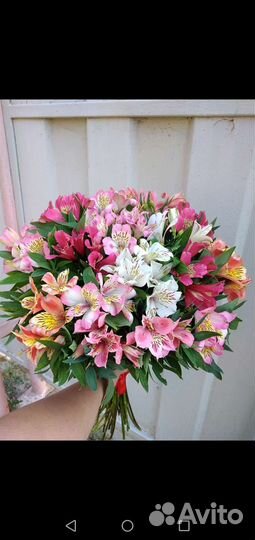 Букет из альстромерий