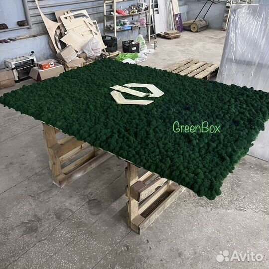 Панно из мха 200*140см