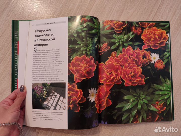 Тюльпаны. Аренд Ян Ван Дер Хорст (Энциклопедия)