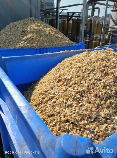 Жом овощной сырой - выжимки овощные