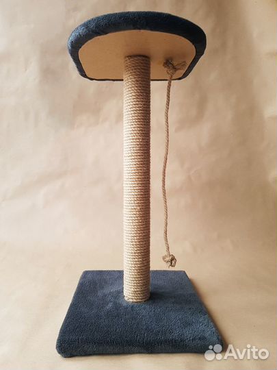 Когтеточка