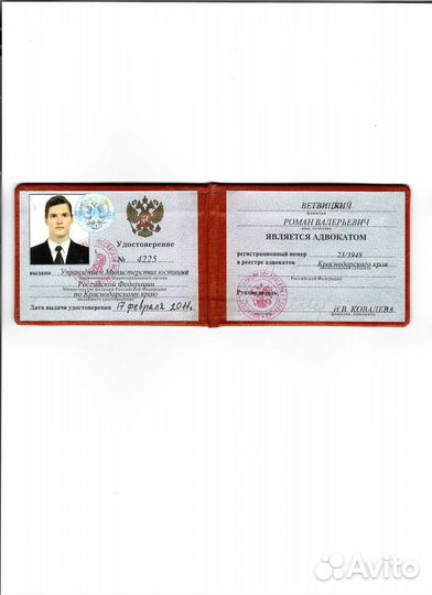 Юрист/расторжение брака/алименты/раздел имущества