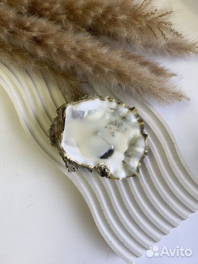 Соевая свеча в устричной раковине