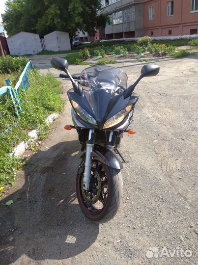 Yamaha FZ6s