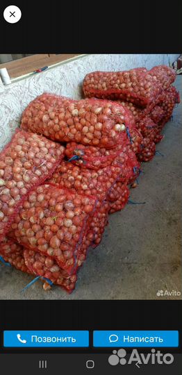 Лук на посадку званите уточняйте лук