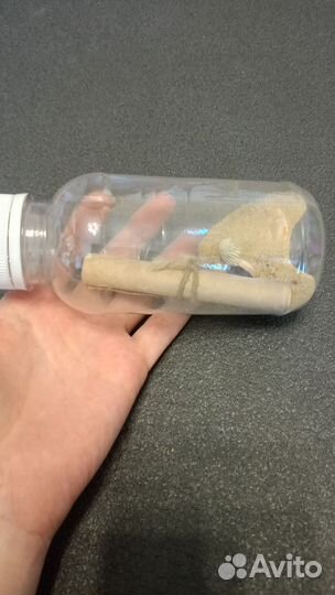 Сувениры с моря бутылка с песком