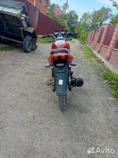 Cobra crossfire 125сс