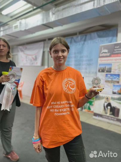 Дрессировка и воспитание собак / Кинолог