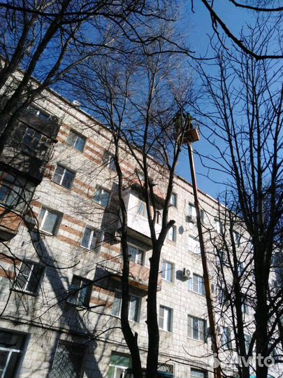 Спил деревьев с вывозом