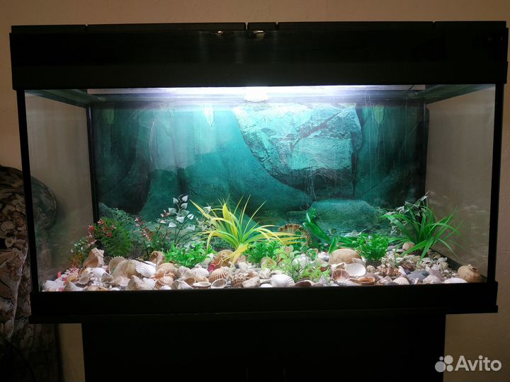 Аквариум с тумбой, объемом 200 л