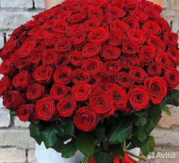 Высокие розы 150 160 170 180 190см доставка Москва