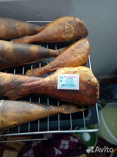 Рыба гор.копчения