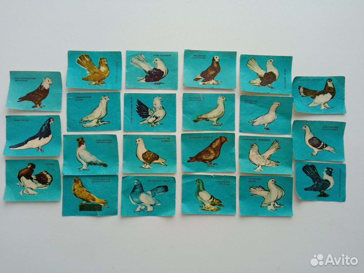 Этикетки спичечные СССР, 80 шт