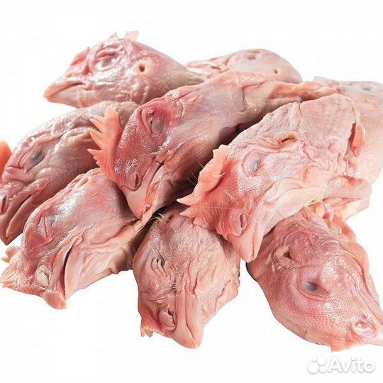 Куриные головы