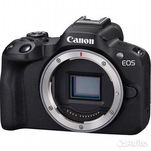 Canon EOS R 50 body