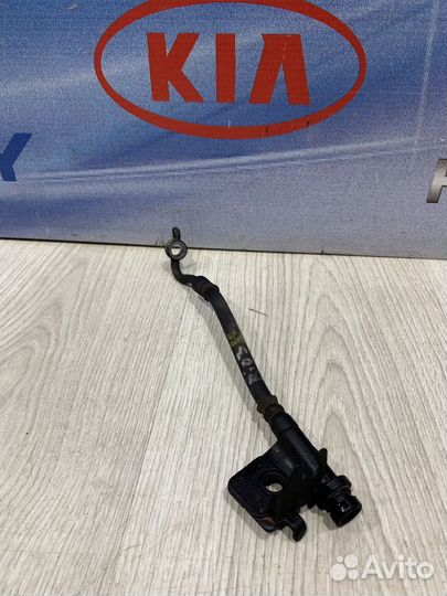 Трубка Шланг тормозной Kia RIO 3 Прав