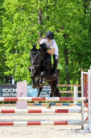 Ушки для лошади