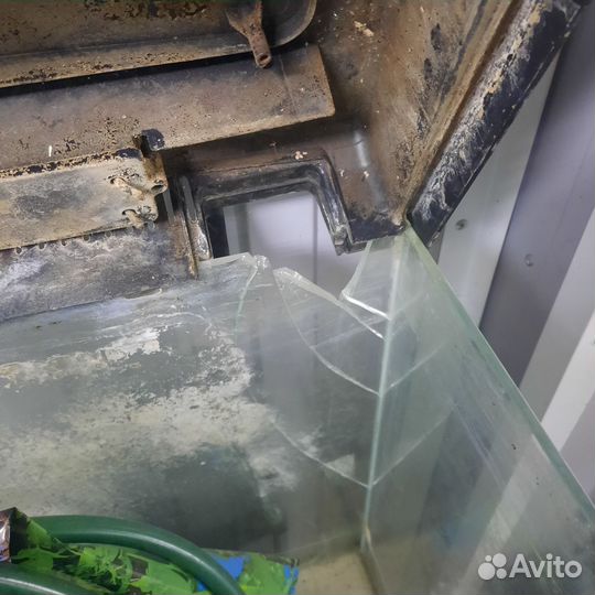 Аквариум