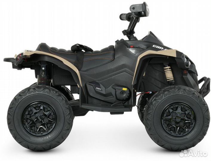 Электроквадроцикл BRP Can-Am Renegade Hakki