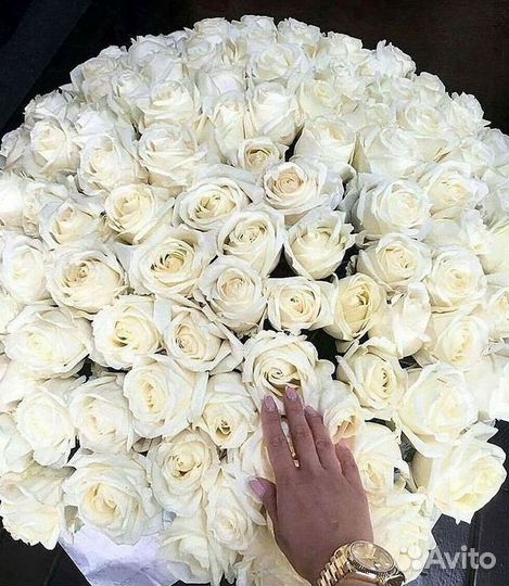 Высокие розы