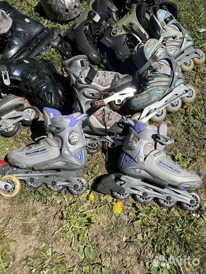 Ролики взрослые 38, 39, 40, 41, 42, 43