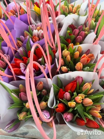 Тюльпаны корпоративные заказы, розница, опт