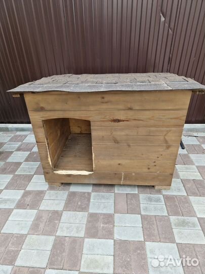 Собачья будка