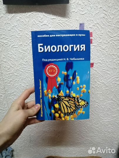Чебышев, 
