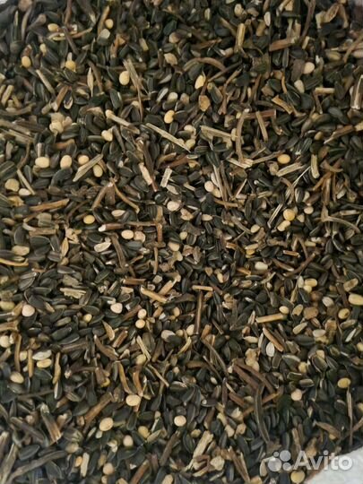Семечка на корм