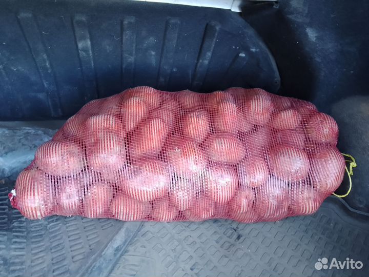 Картофель отборный