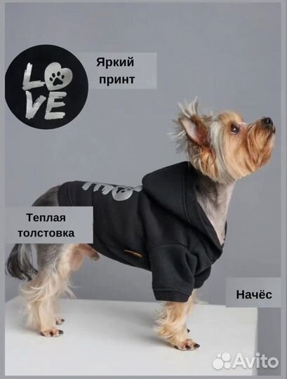 Толстовка для собак и кошек xs