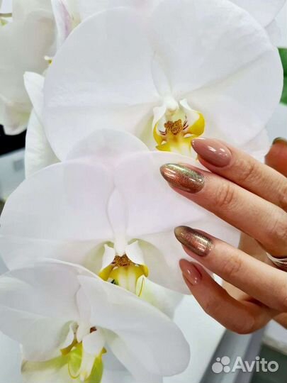 Маникюр наращивание парикмахерская Ваш стиль