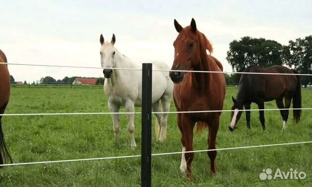 Электропастух bekci 12V/230V 2.0Дж