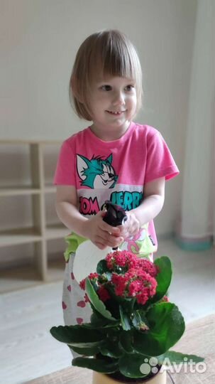 Частный детский сад