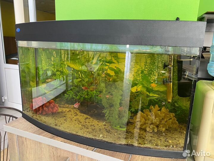 Продам аквариум