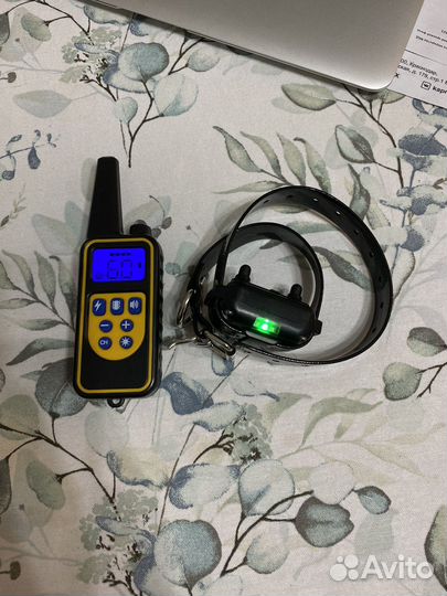 Ошейник электронный