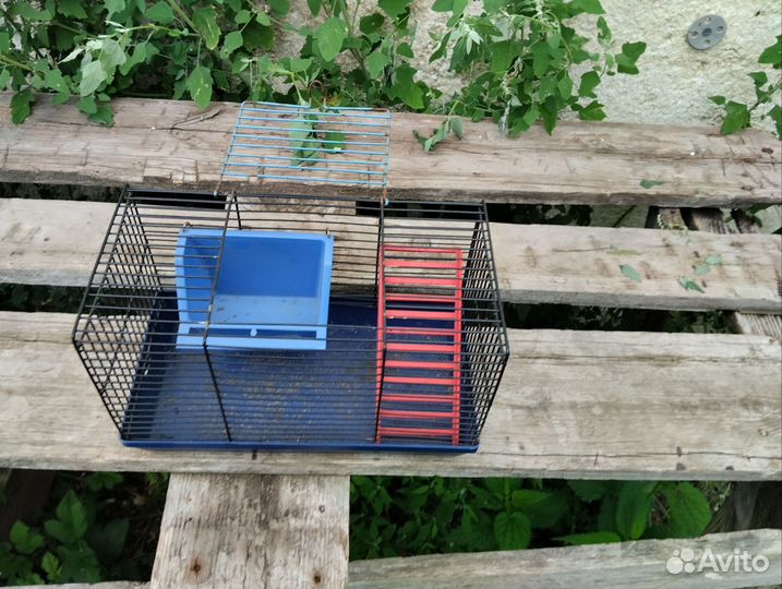 Клетка для грызунов